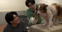 犬好き森本慎太郎「嗚呼!!みんなの動物園」で相葉雅紀と保護犬トリミング