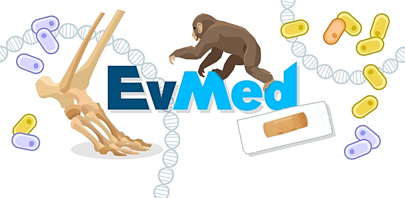 Evrimsel tıp ile ilgili bir illlüstrasyon.