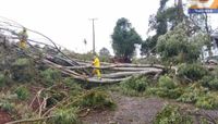 Chapecó é atingida por vendaval neste sábado; meteorologista identifica tornado