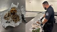 Apparent human remains, including 'part of a skull,' found in luggage at Tampa airport, CBP says