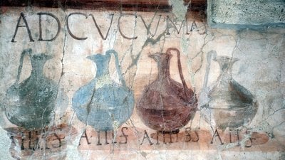 Araştırma, İtalya'nın Binlerce Yıllık Üzüm Islahı Geçmişini Ortaya Çıkarıyor!