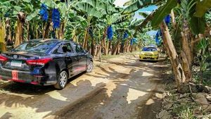Chiquita Returns To Panama After Historic Strike