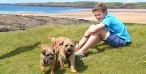 Welsh Government Advocates For Dog-Free Zones