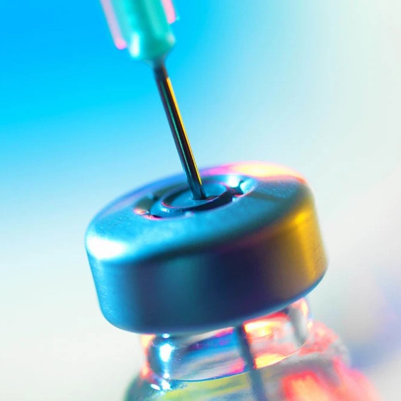 Evrim Ağacı ile Bilime Dair Her Şey!