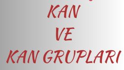 KAN VE KAN GRUPLARININ ÖZELLİKLERİ (BÖLÜM 1)