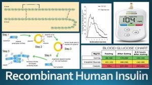 Mini-Proinsulin Analogues Advance Recombinant Insulin Production