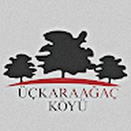 Amacsız Oyuncu Altıntas