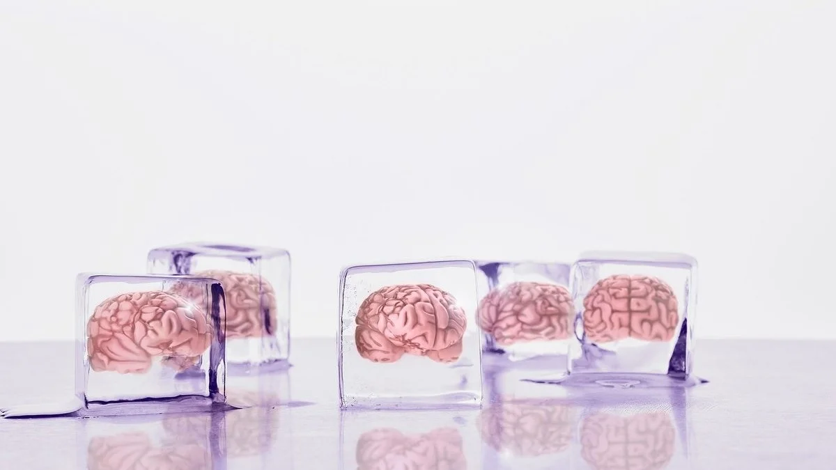 Kriyojenik Olarak Dondurulmuş Yaşamı Geri Getirmeye Çok Yakınız!