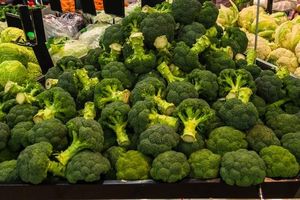 UK Farmers Warn Of Broccoli Shortage As Heatwaves Strike