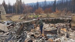 Shetland Creek Wildfire Under Control After Devastation