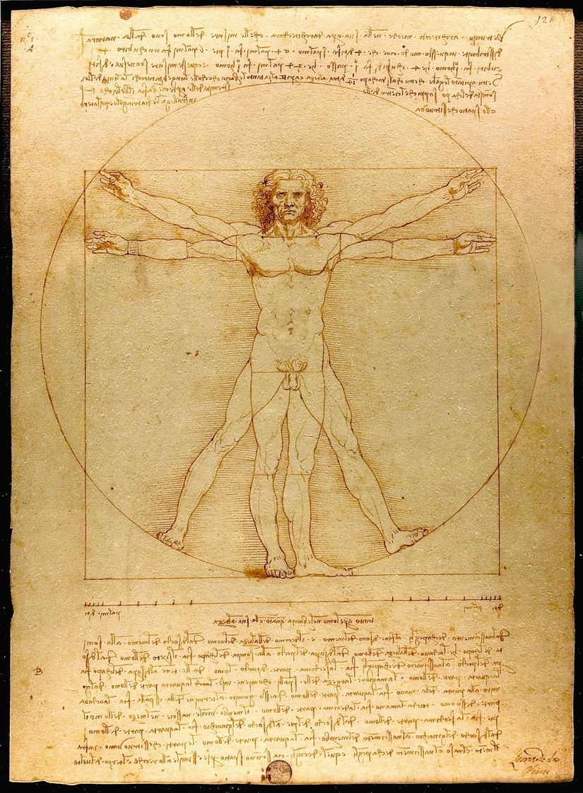 Vitruvius Adamı (ya da Vitruviyen Adam), Leonardo da Vinci tarafından 1490 yılında tamamlanmış şaşırtıcı bir eserdir. da Vinci, eserini Romalı mimar Vitruvius'un çalışmalarına dayanarak hazırlamıştır. Bir kağıt parçası üzerine kalem ve mürekkep ile çizilmiş olan eser, bir kare ve daire içerisine kolları süperpozisyon yöntemiyle üst üste oturtulmuş bir erkeği göstermektedir. Mimar Vitruvius, bu ölçüleri &quot;ideal erkek ölçüleri&quot; olarak tanımlamıştır. Bu iddianın bilimsel bir arka planı veya dayanağı bulunmamaktadır.