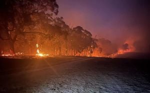 Victoria Issues Total Fire Ban Amid Extreme Danger