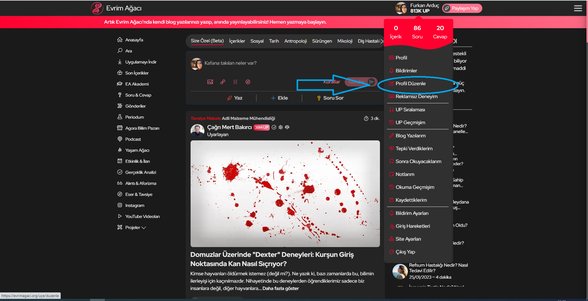 Ana sayfanızdaki isminizin (UP puanınız ve profil fotoğrafınızın) olduğu yere tıklayın. Ardından "Profil Düzenle" kısmına basın.