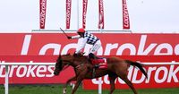 Banbridge on course for Punchestown following Cheltenham disappointment