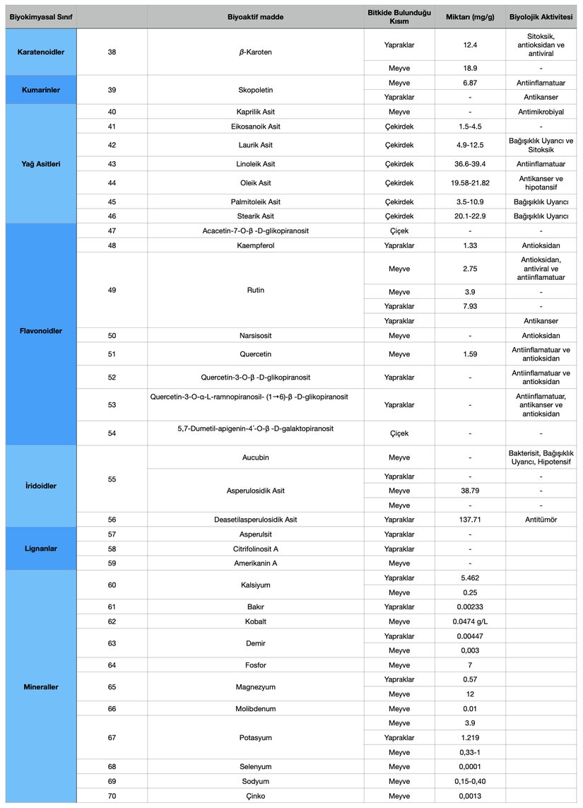 Morinda citrifolia'da bulunan bazı biyoaktif maddeler