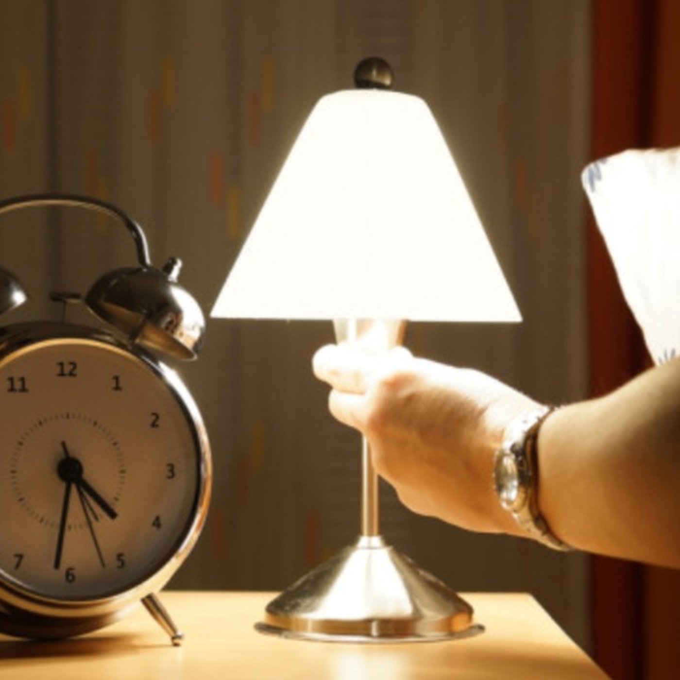 Evrim Ağacı ile Bilime Dair Her Şey!