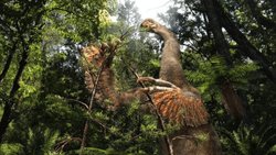 Türünün aykırısı: İki pençeli otçul dinozor keşfedildi