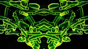 Ayna Yaşam Formları Kulağa Bilimkurgu Gibi Gelebilir, Ancak Bilim İnsanları Bu Formların İnsanlar İçin Ölümcül Olabileceği ve Çevreyi Yok Edebileceği Konusunda Uyarıyor!