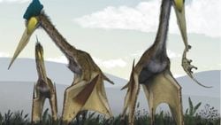 Pterosaur