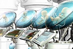 İnsan ebriyosu deve kuşu yumurtasına koyulursa yumurtadan beslenip gelişebilir mi?