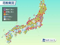 今日から明日も花粉が多く飛散　晴れて気温が上昇