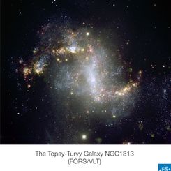 Unusual Starburst Galaxy  NGC 1313