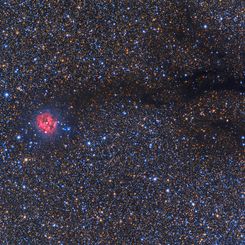 Cocoon Nebula Wide Field