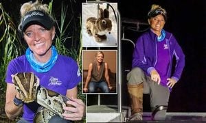 Rare Rainbow Snake Sought As Pythons Thrive In Florida