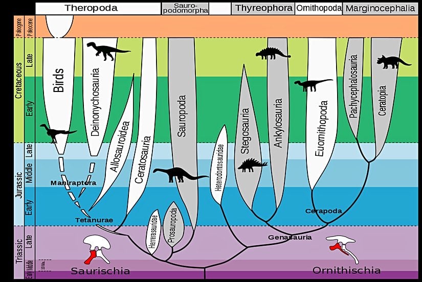 Dinozor Sınıflandırması