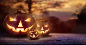 Diverse Weather Conditions Shape Halloween Celebrations