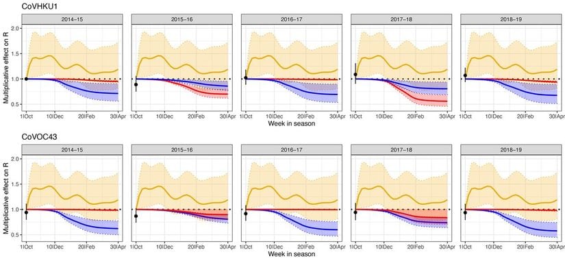Grafikte, COVID-19'a sebep olan SARS-CoV-2 virüsünün kuzeni olan HCoV-HKU1 (üst panel) ve HCoV-OC43 (alt panel) virüslerinin efektif üreme sayılarına etki eden faktörler gösteriliyor: Hastalığın görülme oranı (üst panelde kırmızı, alt panelde mavi) ve mevsimsel değişimler (altın). Siyah nokta, mevsim başlangıcında 2014-2015 HCoV-HKU1 sezonuna kıyasla hastalığın tahmini üreme katsayısını gösteriyor. Bu grafiklerden, diğer koronavirüslerin mevsimlik bir doğası olduğu görülüyor.