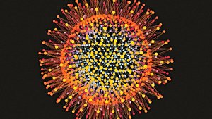 Kök Hücrelerimizin Farklılaşma Becerisini Antik Bir Virüsün DNA'sına Borçluyuz!