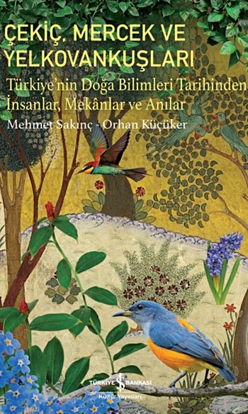 Çekiç, Mercek ve Yelkovankuşları