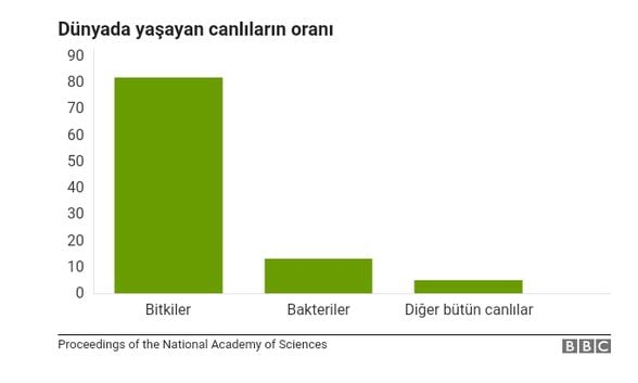 Canlıların oranları