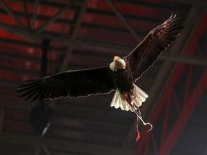Benfica And Sporting Clash In Title Decider