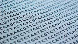 İnsan Evriminin Devam Ettiğini Gösteren İzler