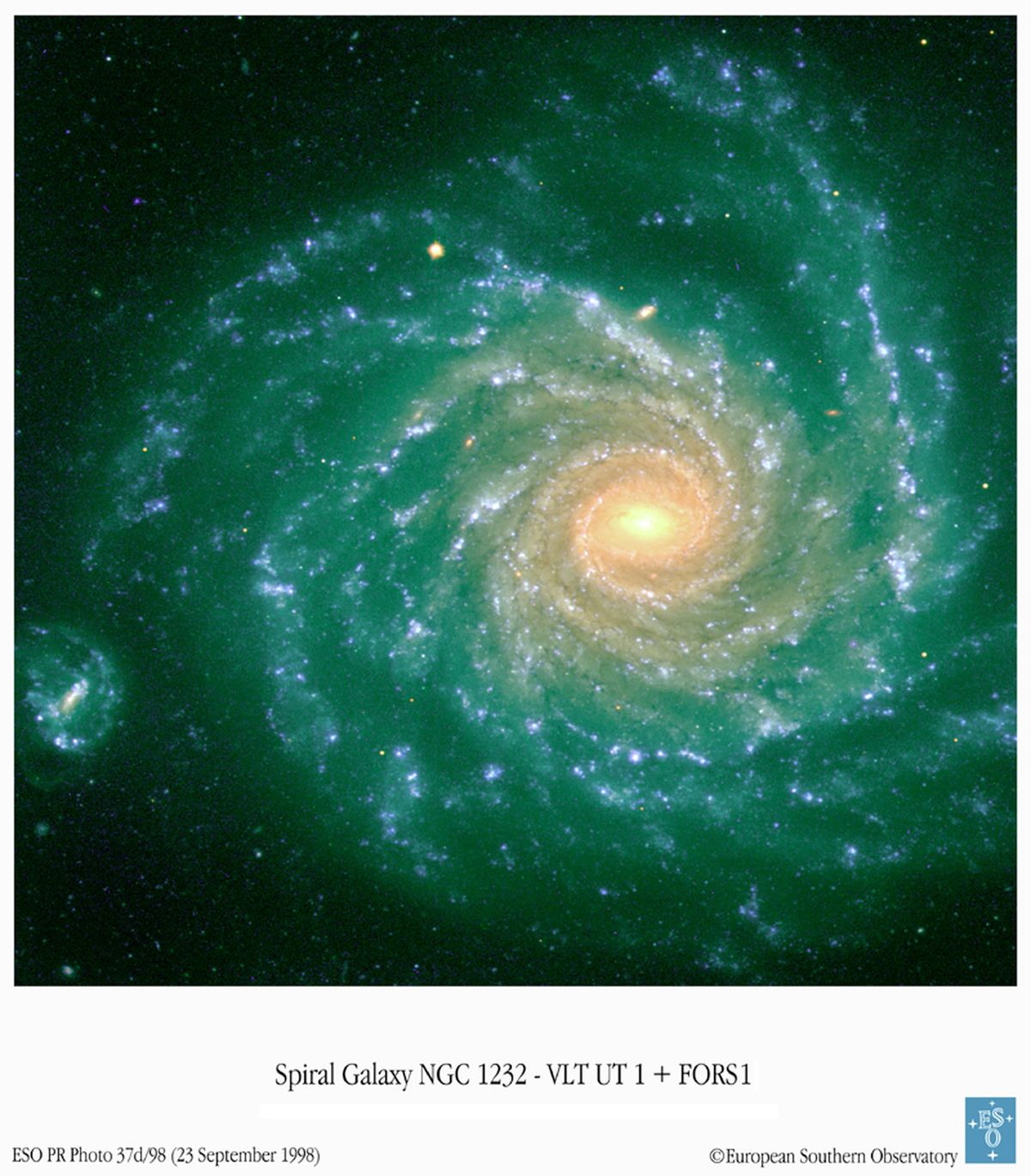 Spiral Galaxy NGC 1232