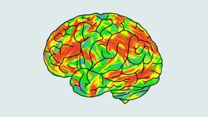 New Technique Classifies Psychedelics Using Brain Imaging