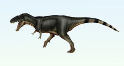 Yeni Bir Tyrannosaurid Dinozor Türü Tanımlandı