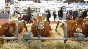 Macron Opens 2025 Salon De L'Agriculture Amid Promises Of Support