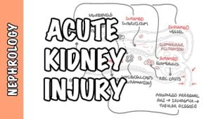 Study Links Elevated Abdominal Pressure To Kidney Injury Risk