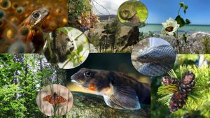 Global Biodiversity Faces Crisis Amid Declining Genetic Diversity