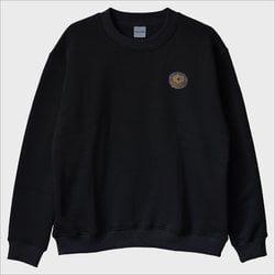 ‘’James Webb’’ Nakış Sweatshirt