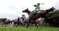 All 34 Grand National runners and riders confirmed after 11 horses withdrawn