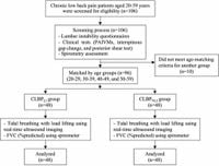 Diaphragm excursion and thickness in patients with chronic low back pain with and without lumbar instability - Scientific Reports