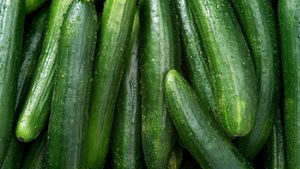 SunFed Produce Recalls Cucumbers Linked To Salmonella Outbreak