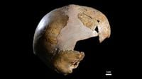 140,000-year-old skeleton shows earliest interbreeding between humans and Neanderthals