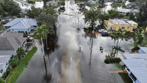 Hurricane Milton Devastates Florida Leaving Communities Reeling