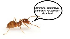 İnsanlar Olarak Gerçekten de Abarttığımız Kadar Zeki ve Gelişmiş Miyiz?