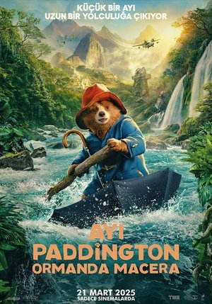Ayı Paddington